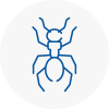 Ant Removals In Worcester