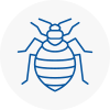 Bed Bug Extermination In Worcester