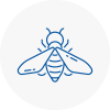 Bee Nest Removal Worcester