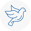 Bird Prevention Worcester