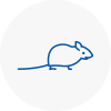 Mice Exterminators In Worcester
