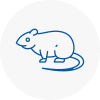 Rat Control Worcester