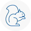 Worcester Rodent Removals